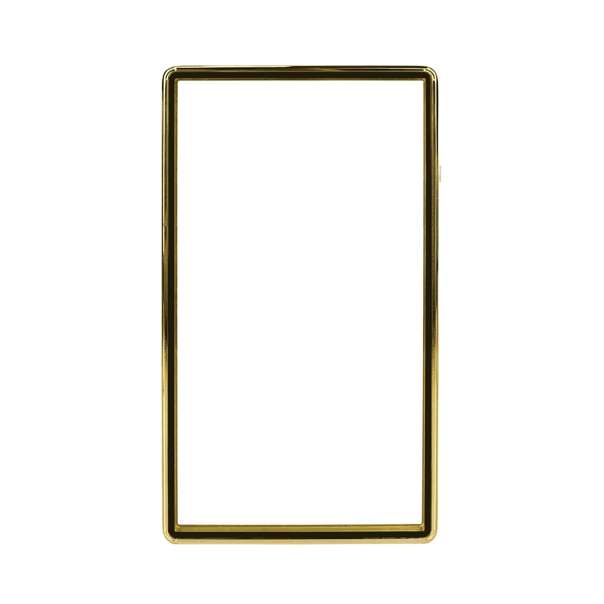 Standard SGC Slabmags Case - Metallic Gold